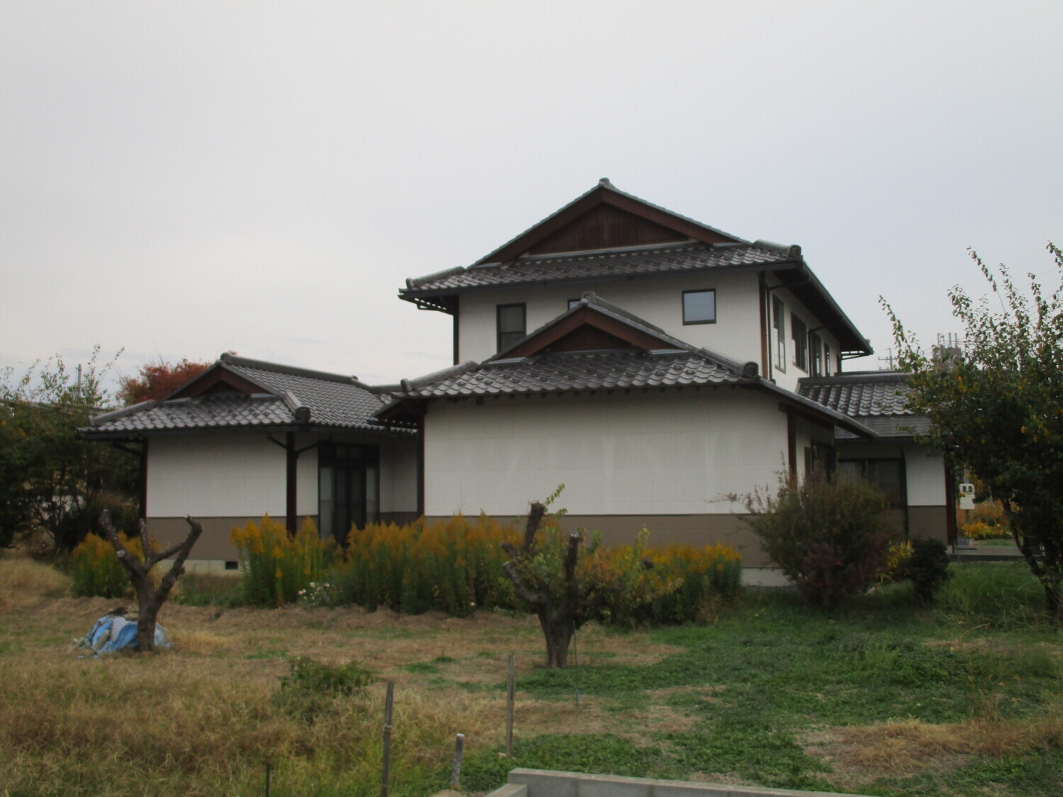 MinochiKanekoYashiki.JPG