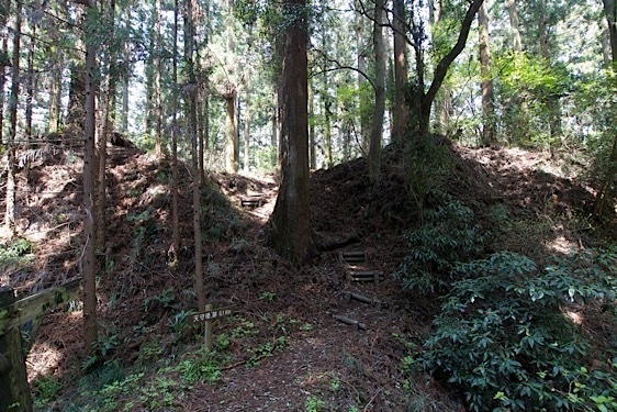 File:Mumo8.jpg