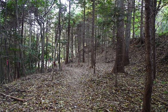 File:Ogura14.jpg