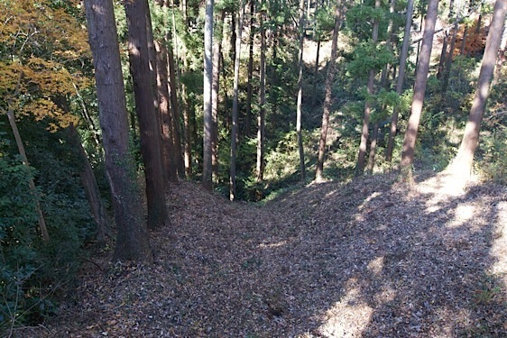 File:Tsukui4.jpg