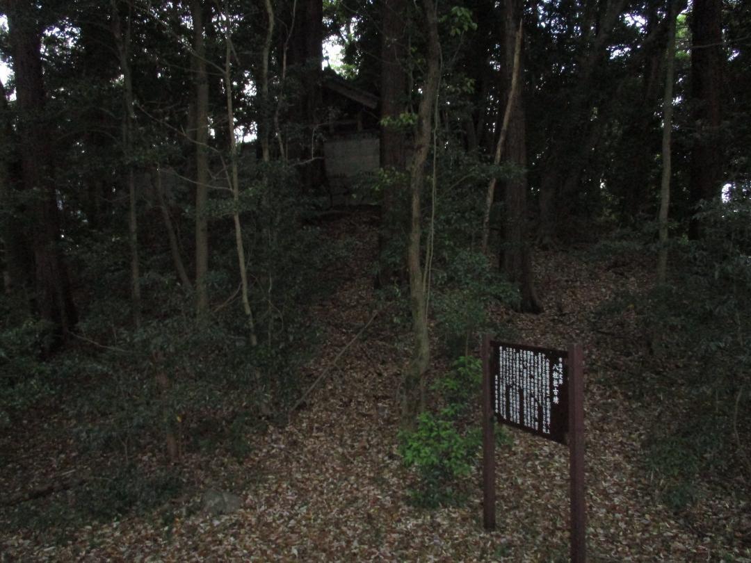 MikawaMorijou (11).jpg