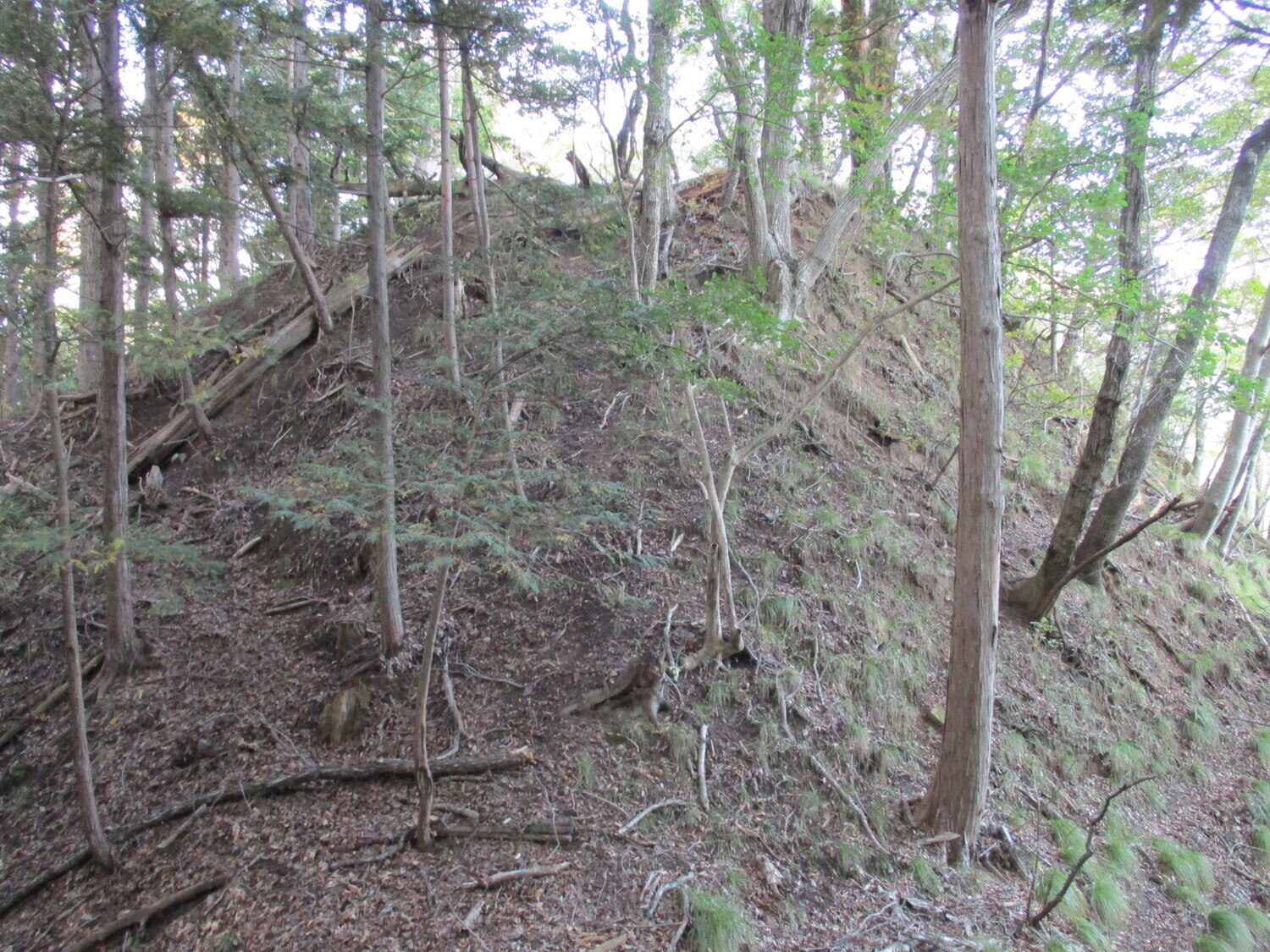 MaruyamaKoyajou (1).JPG