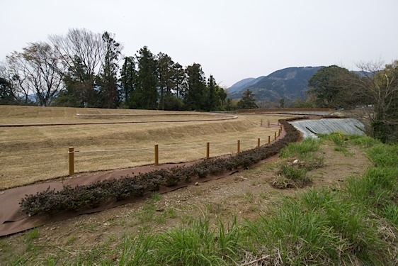 File:Kawamura27.jpg