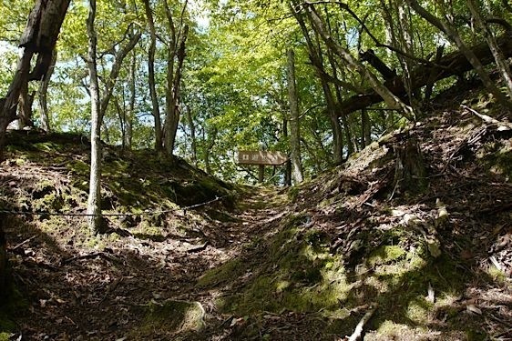 File:Konosumi3.jpg