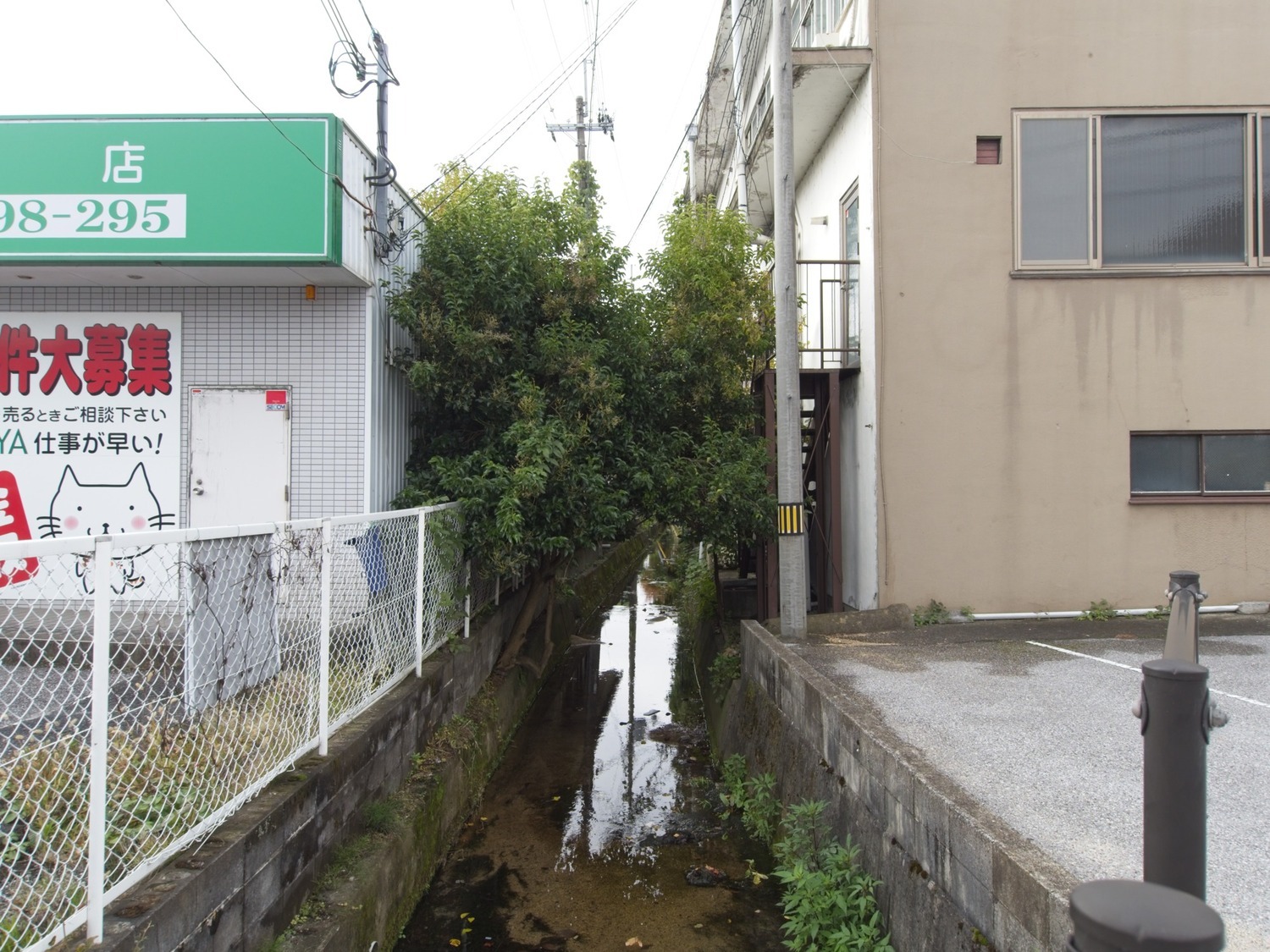 Sotoborihikone2.jpg