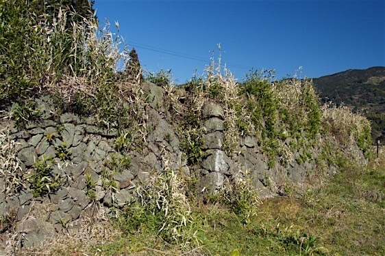 File:Ojima11.jpg