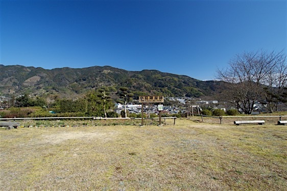 File:Ojima7.jpg