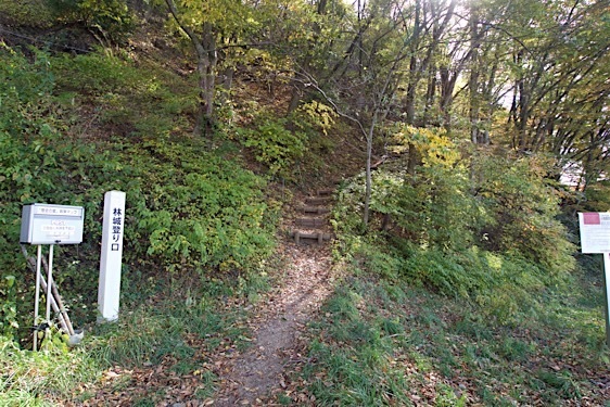 File:Hayashioh1.jpg