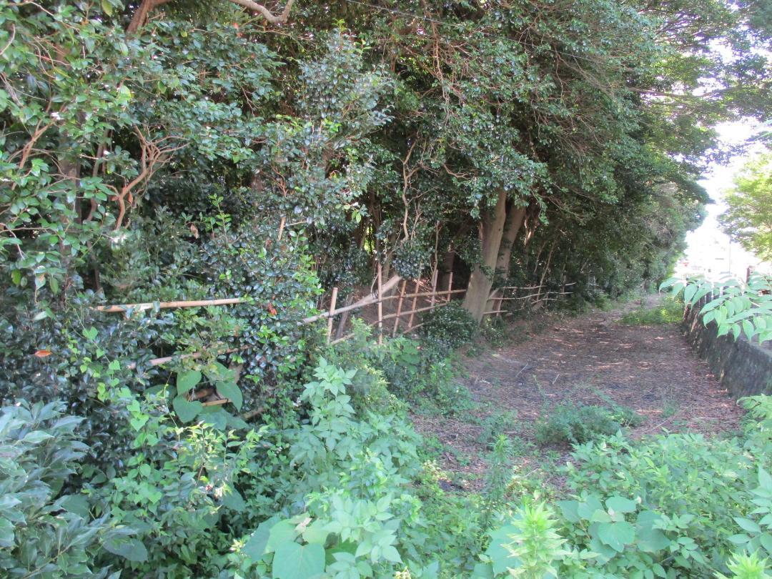 Kawashimamurakojou (2).jpg