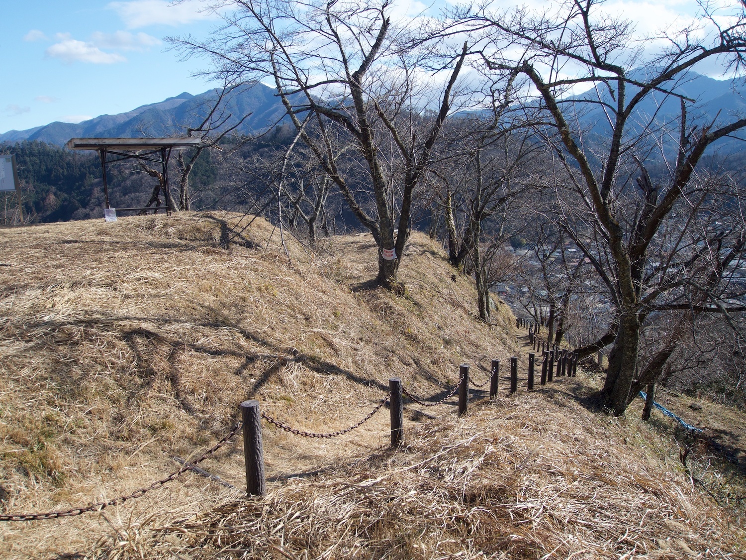 Katsuyamatsuru18.jpg