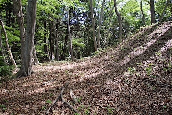 File:Gobara9.jpg