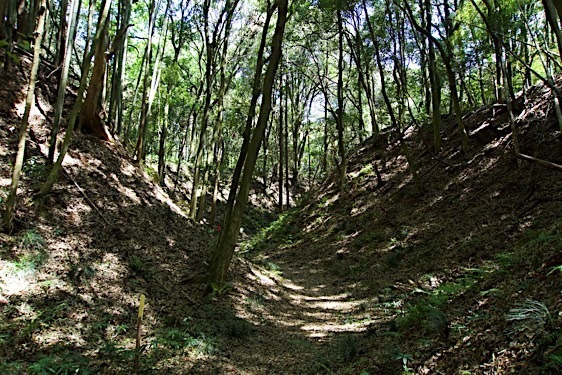 File:Obata28.jpg