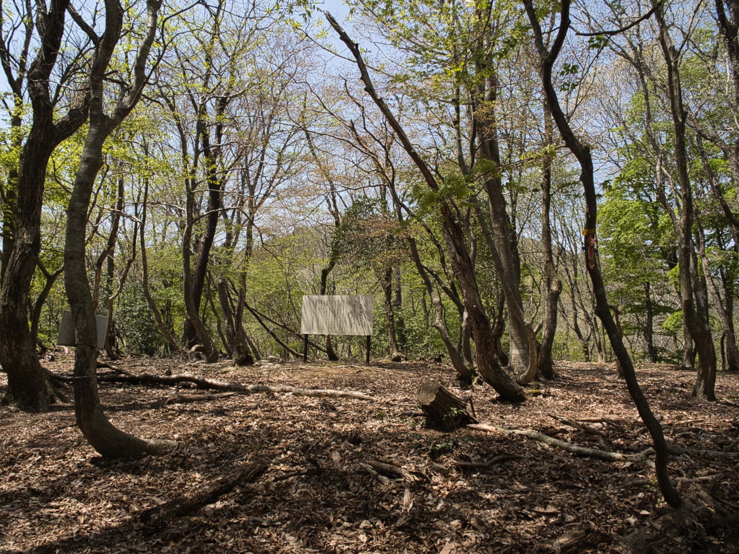 Besshoyama13.jpg