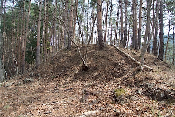 File:Kuma21.jpg