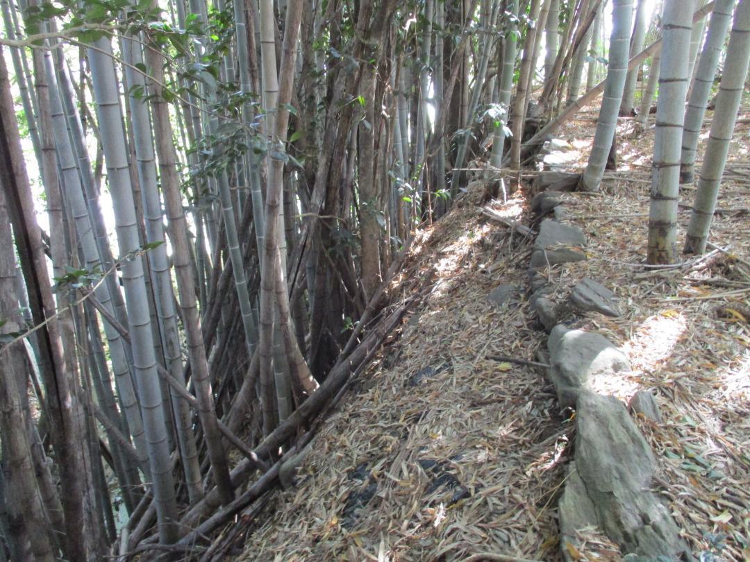 MikawaOhtakijou (12).jpg