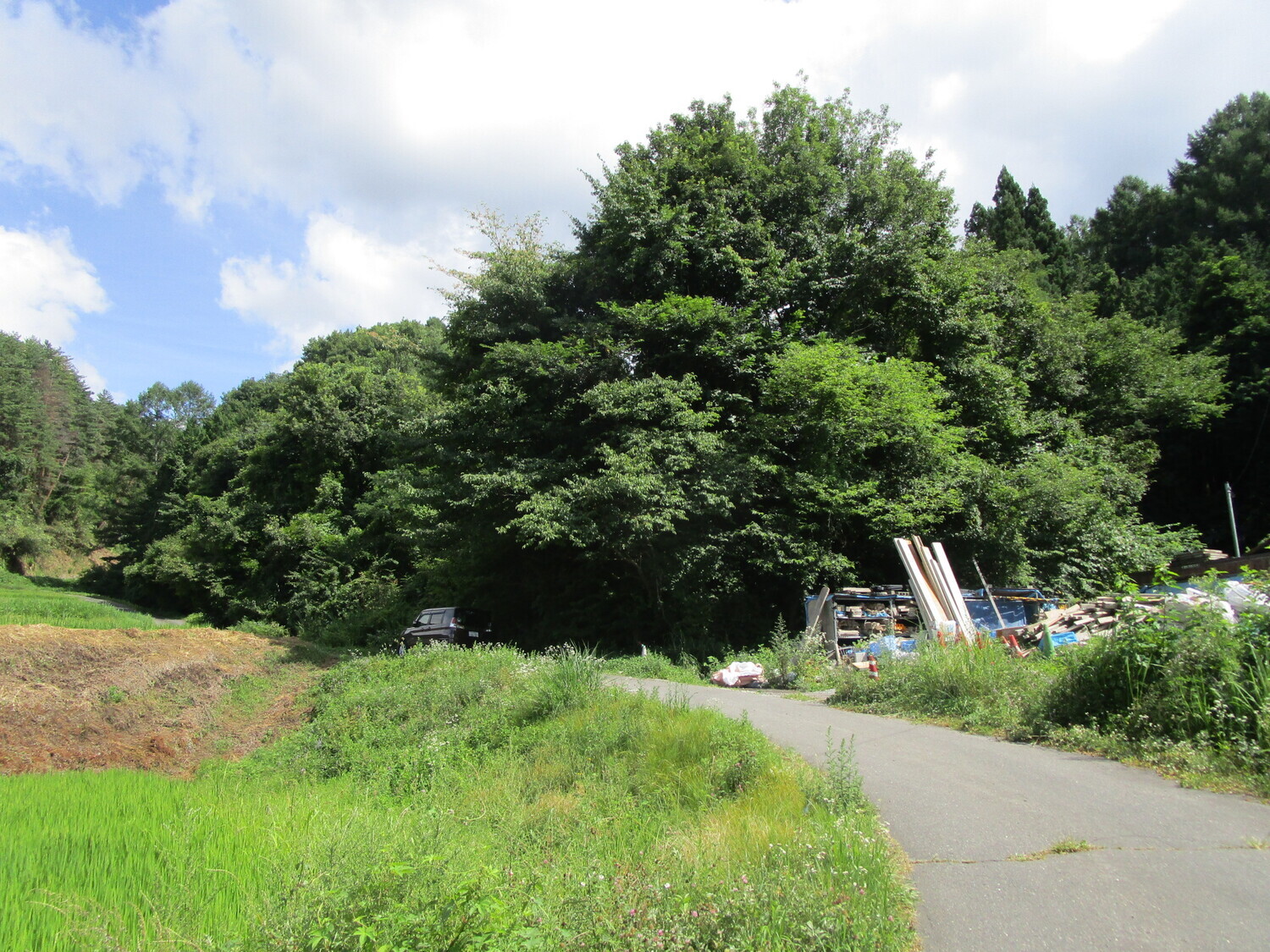 OnjouyamaToride01.JPG
