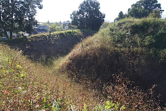 File:Asaba13.jpg