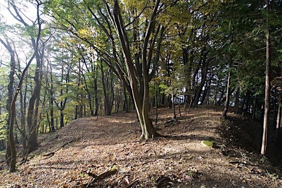 File:Haibara5.jpg