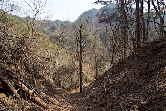 File:Kuma9.jpg