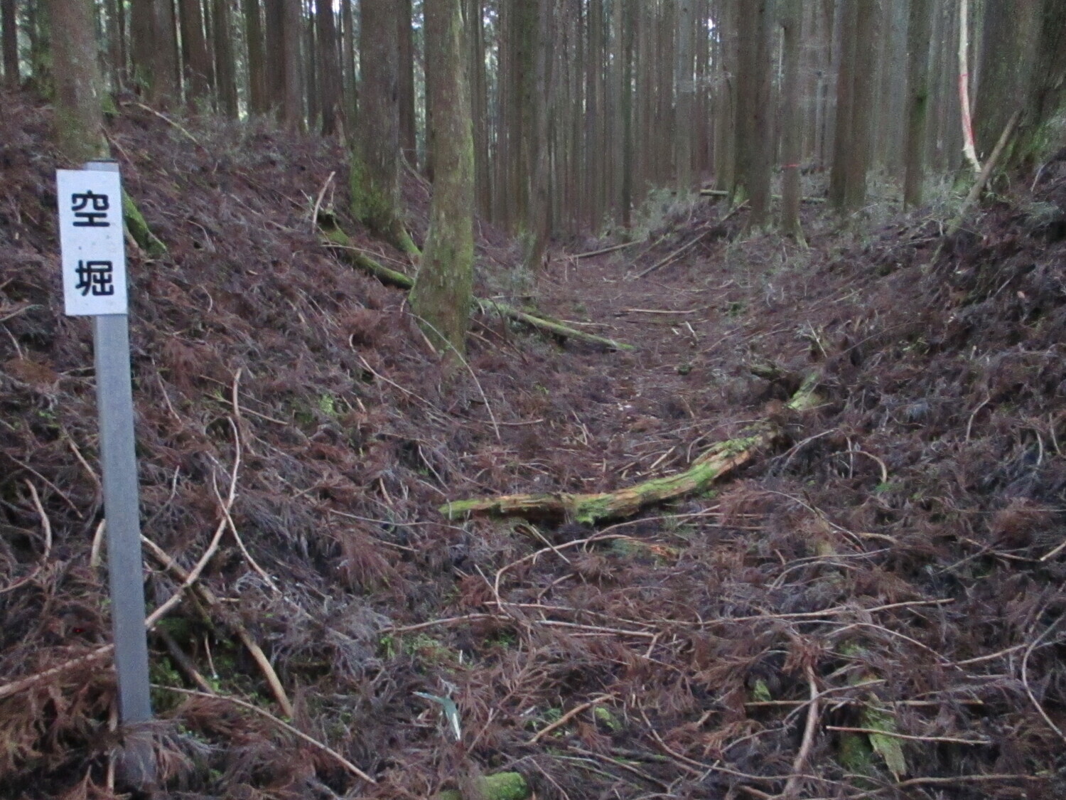 SurugaFukayamajou (8).JPG