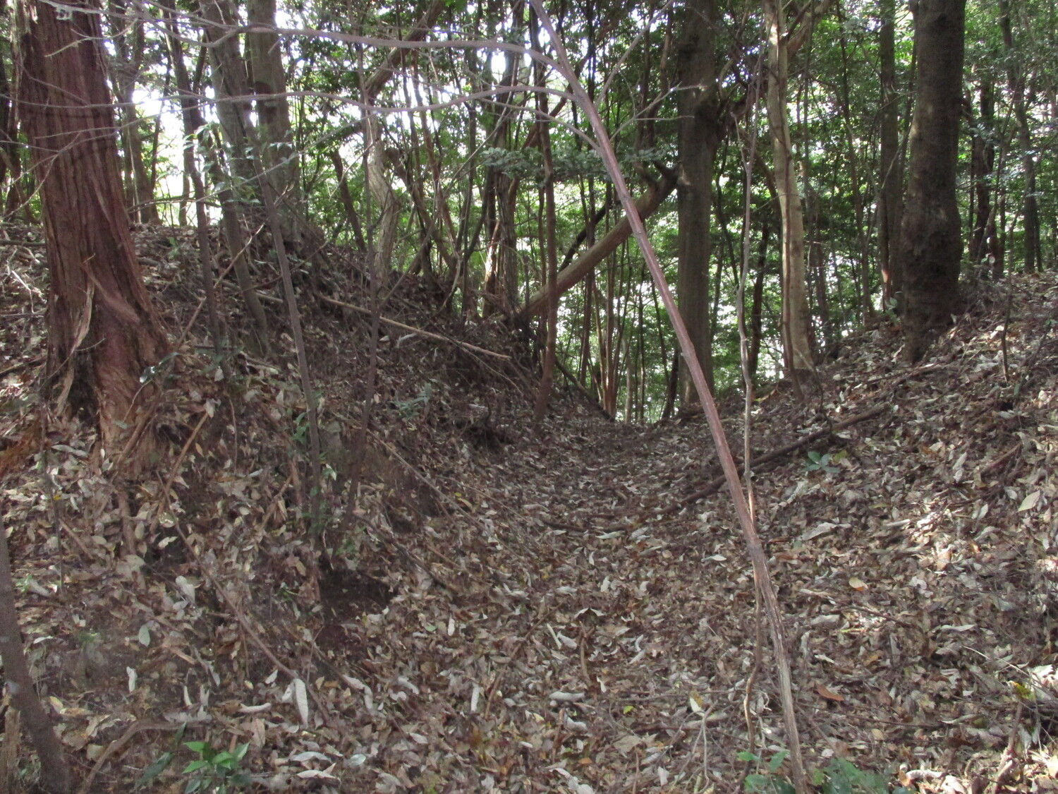 Hadanashiyamajou (1).JPG