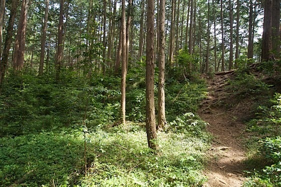 File:Katsunuma9.jpg