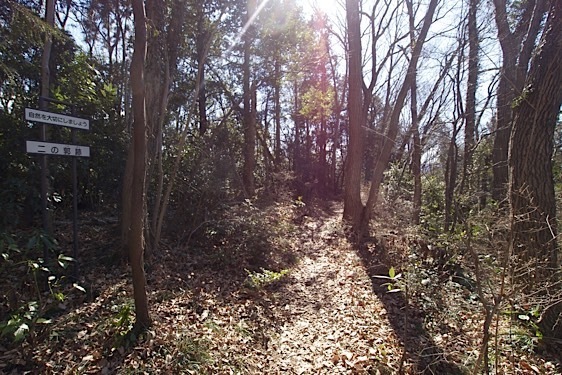 File:Aoyama13.jpg