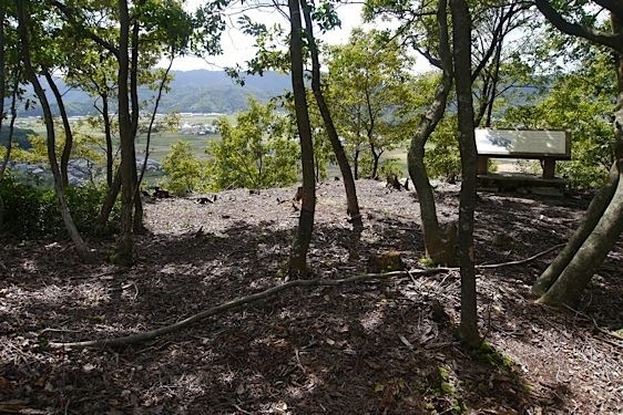 File:Konosumi20.jpg