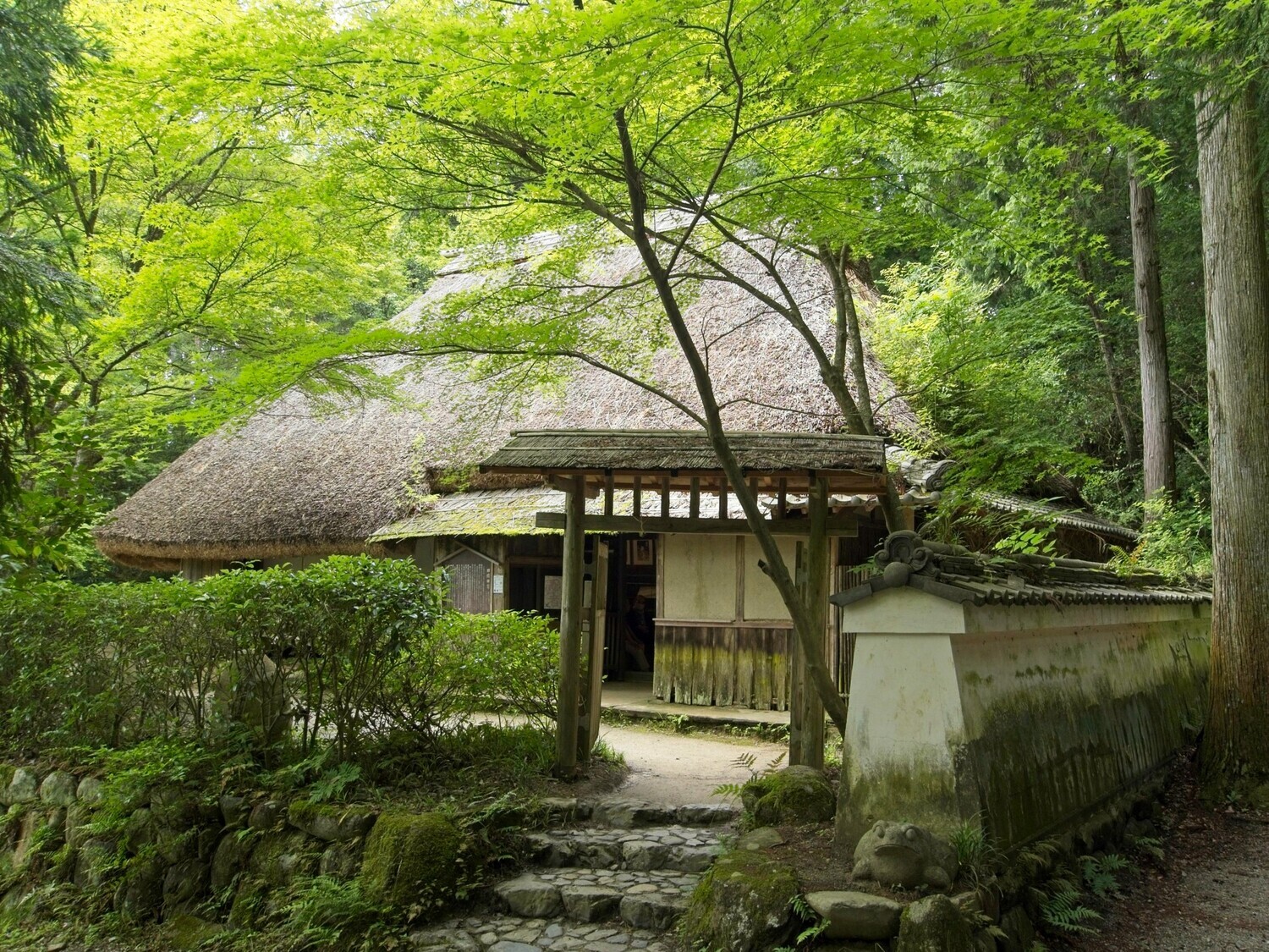 Okadakoka1.jpg