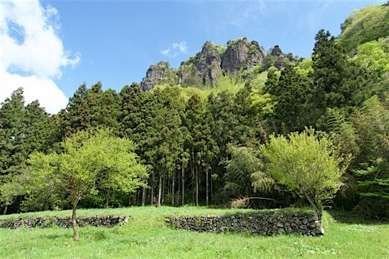 Seiryuin7.jpg