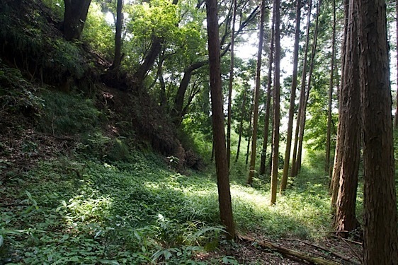 File:Senpuku8.jpg