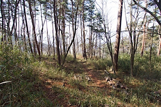 File:Yogaisan9.jpg