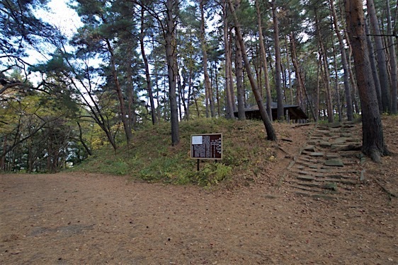 Hayashioh23.jpg