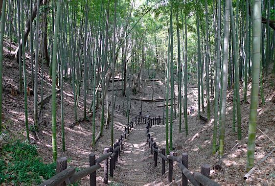 File:Kozukue3.jpg