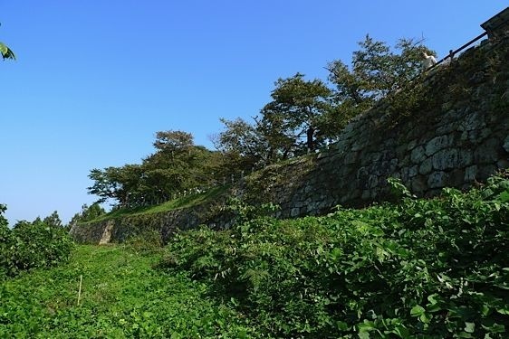 File:Murakami27.jpg