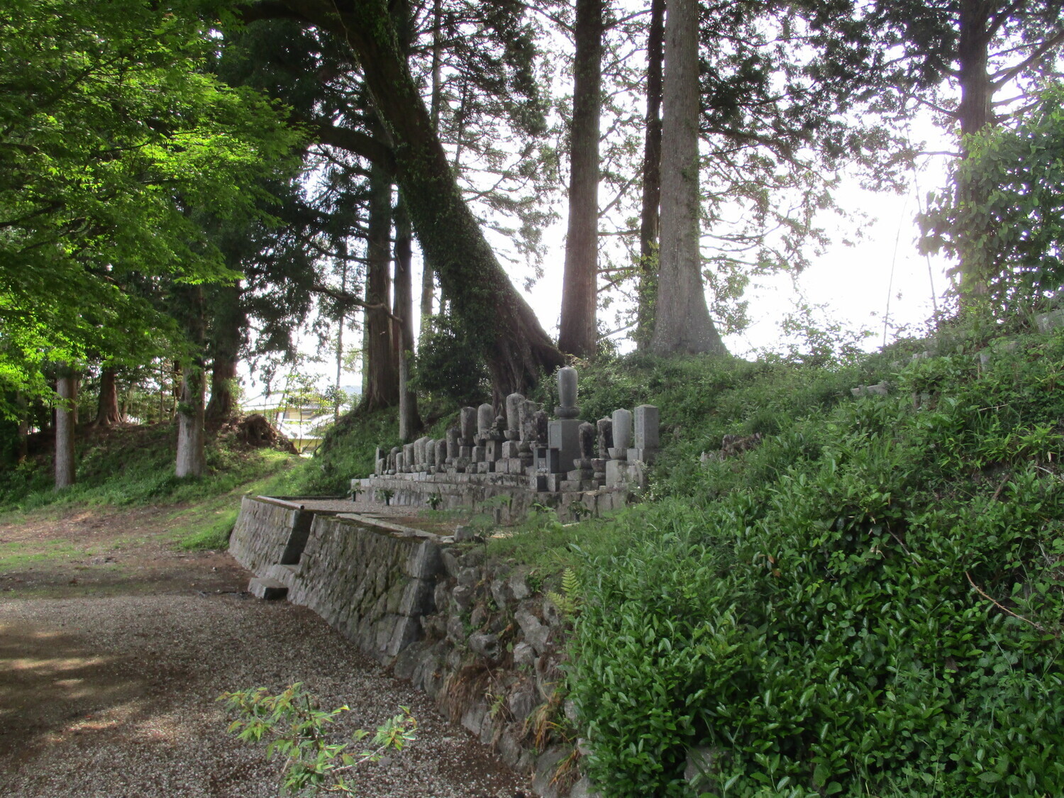 Ishibashijou (1).JPG