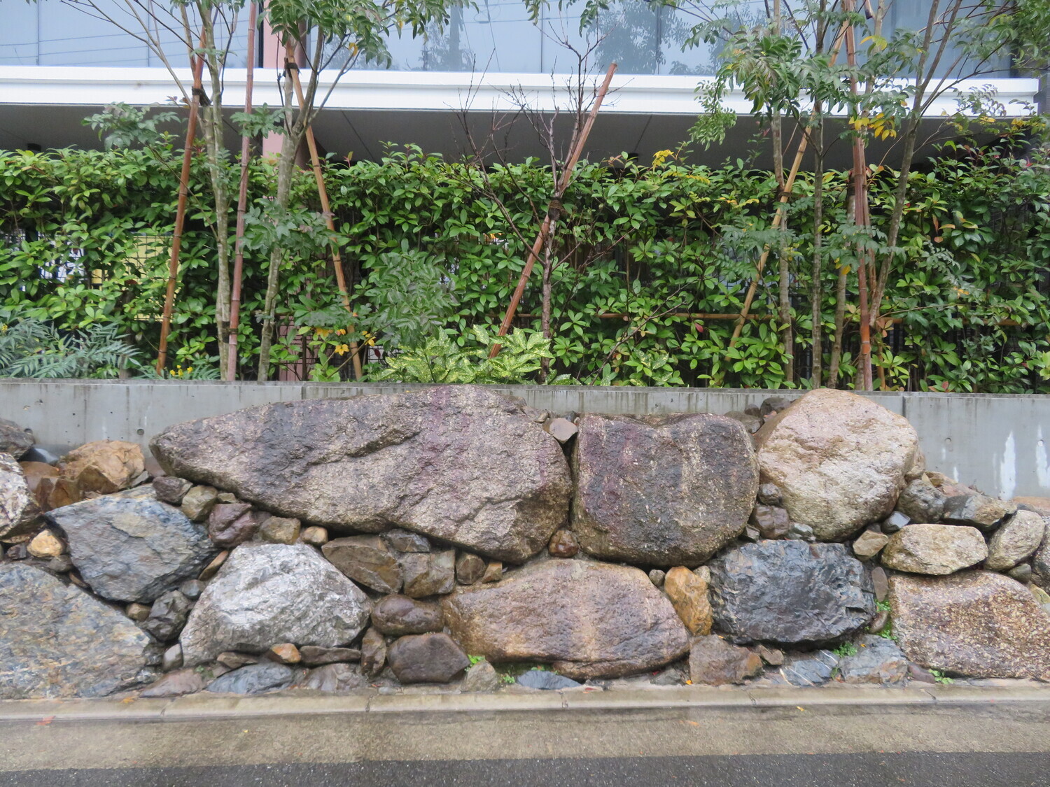 Shigetsu (1).JPG