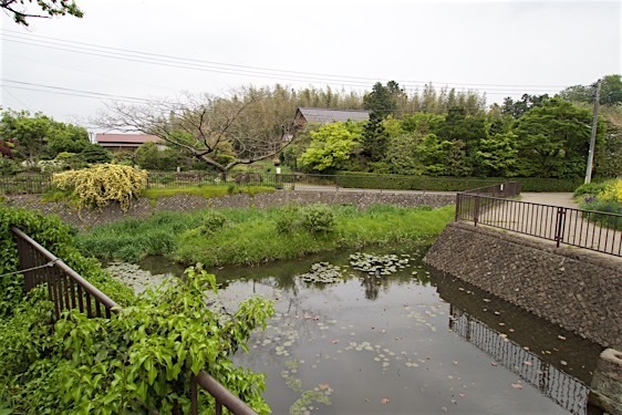 File:Onabuchi9.jpg