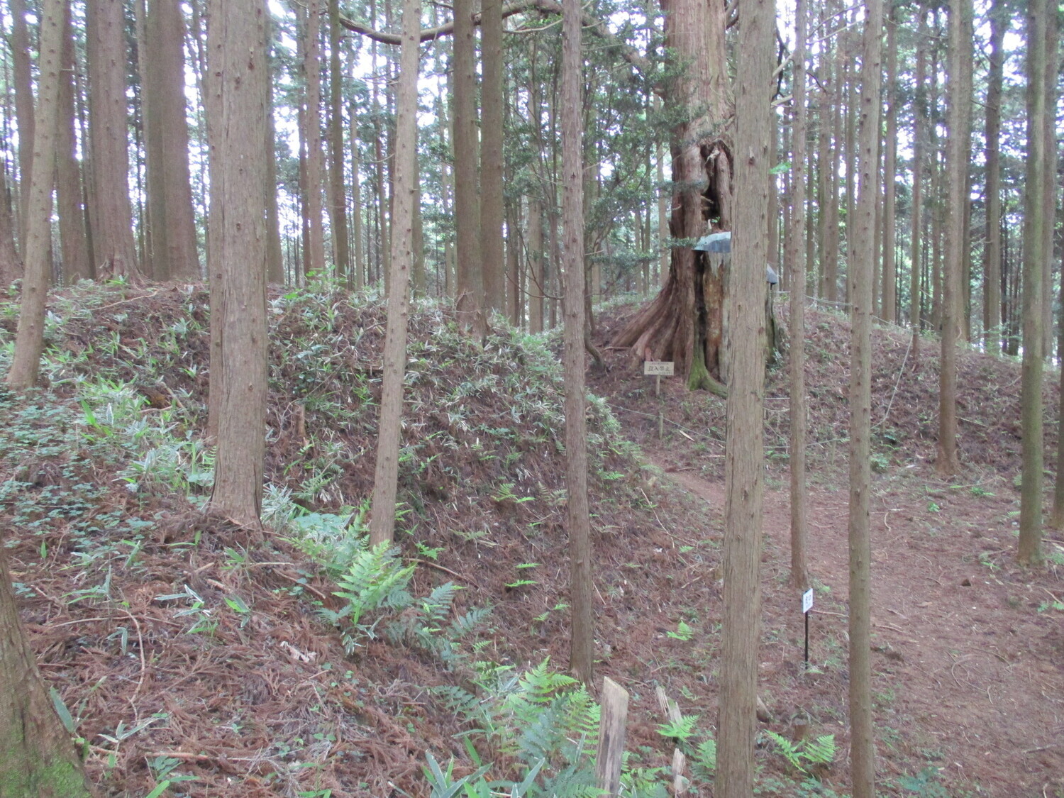 Furumiyajou (1).JPG