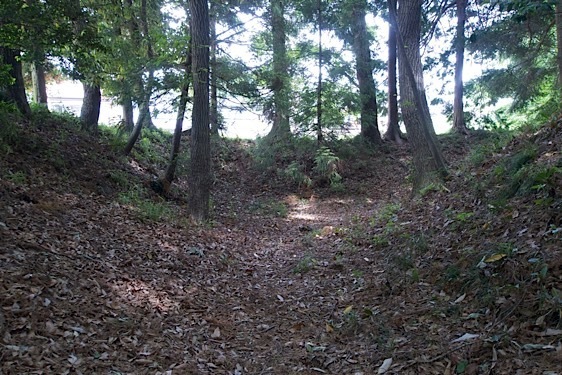 File:Imai18.jpg
