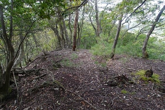 File:Konosumi14.jpg