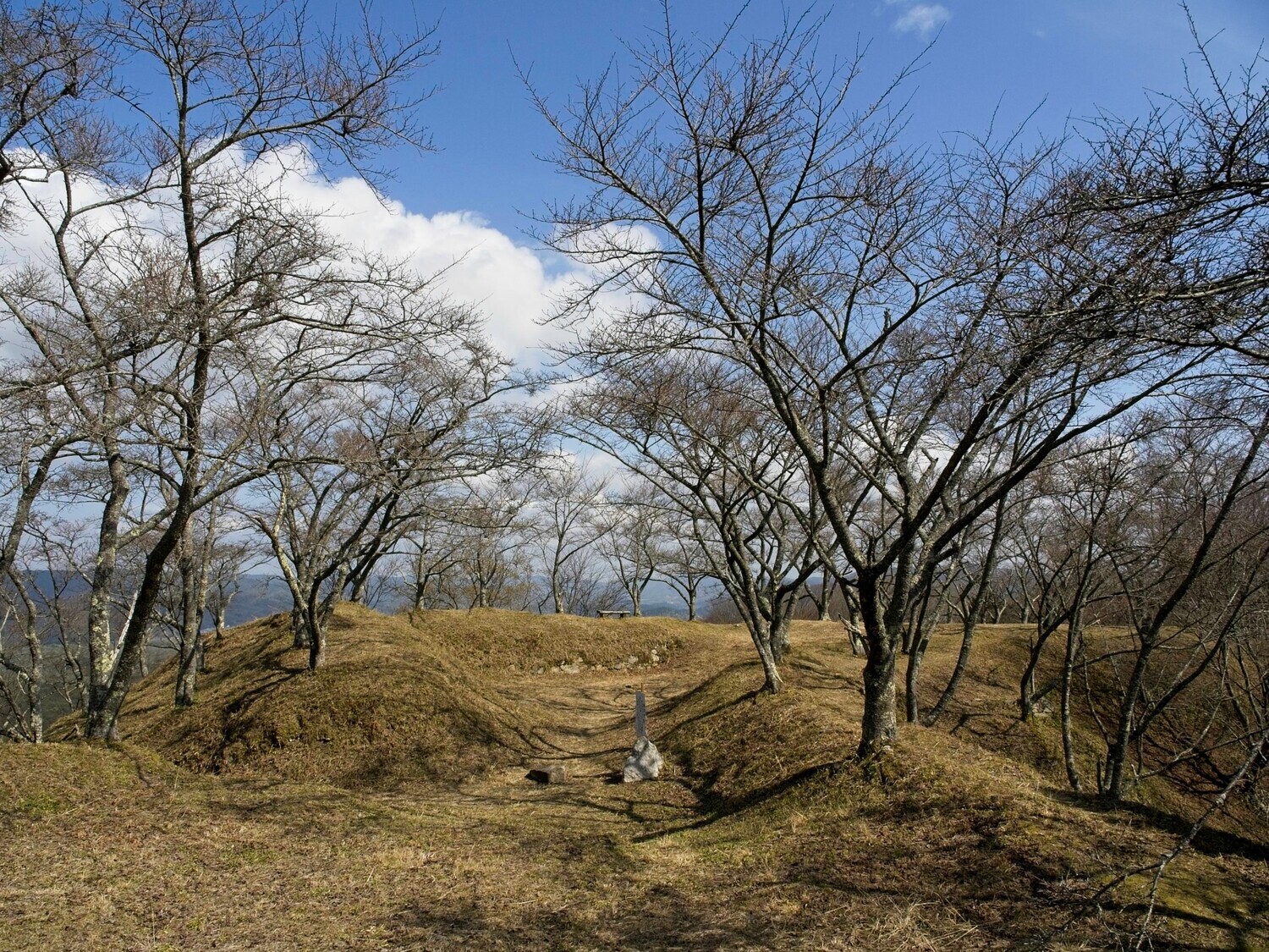 Ogawakoka13.jpg