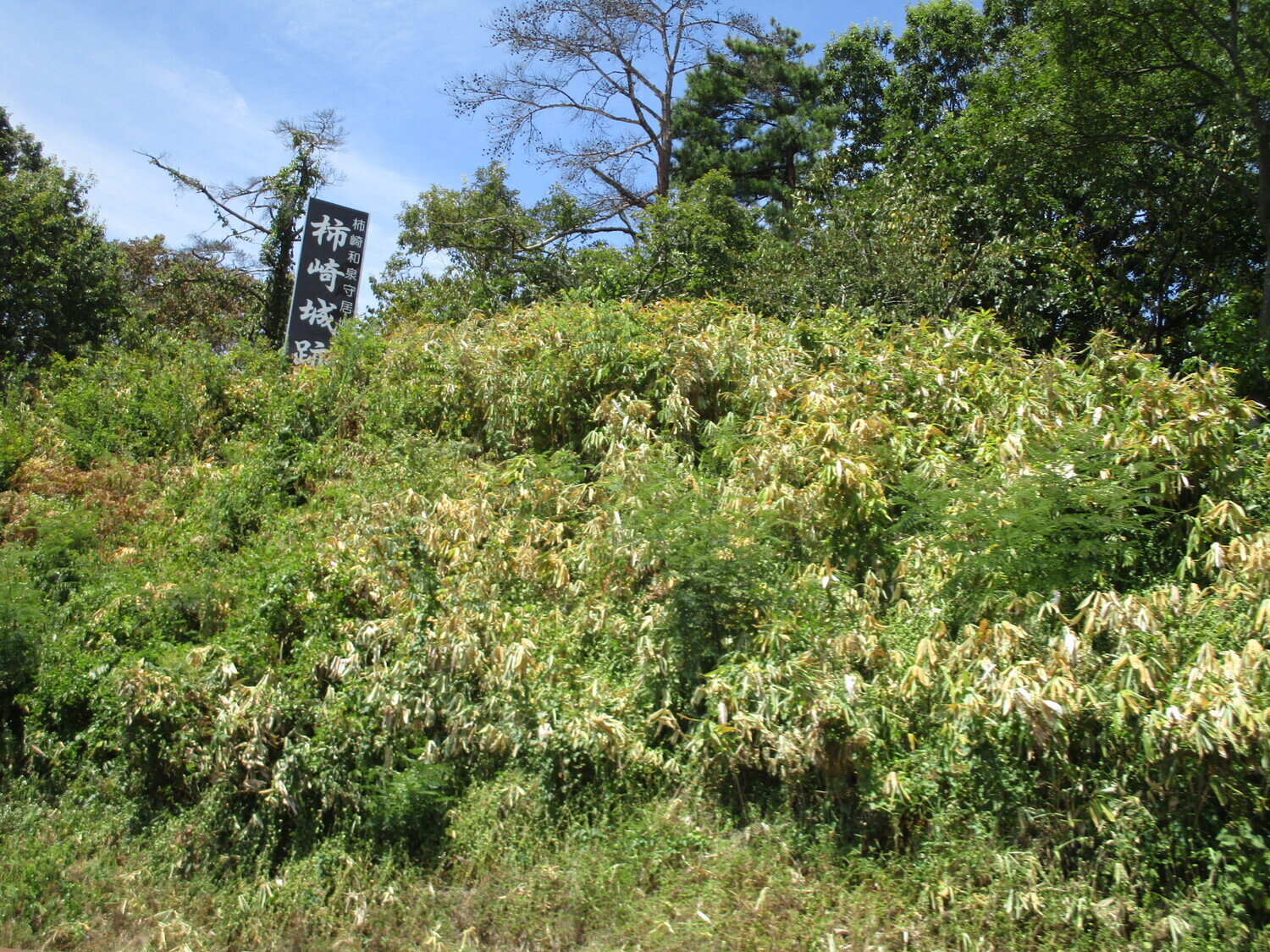 Kakizakijou (2).JPG