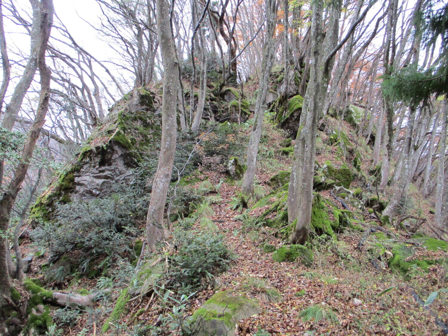 Kurumajou (1).JPG