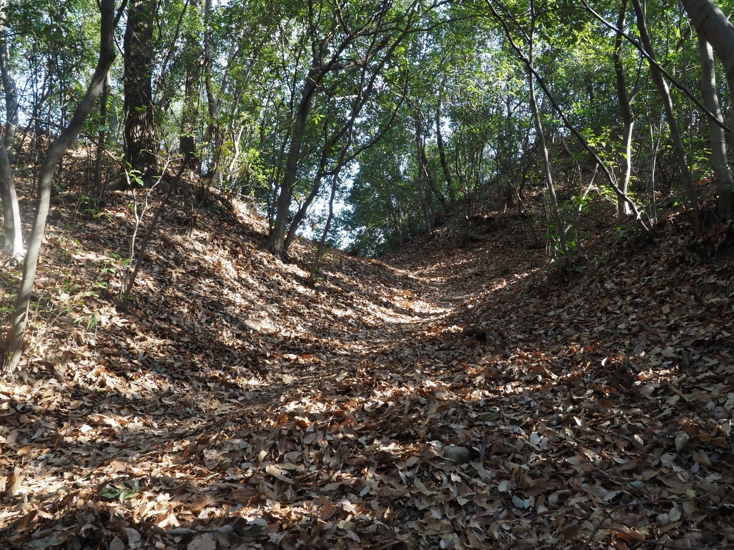 Yamana35.jpg