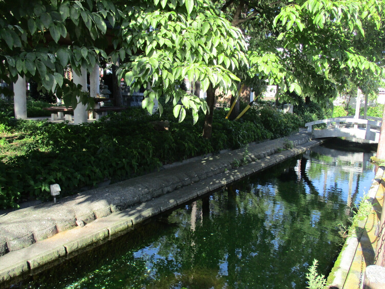 MinamotoYoshikiyoYakata (1).JPG