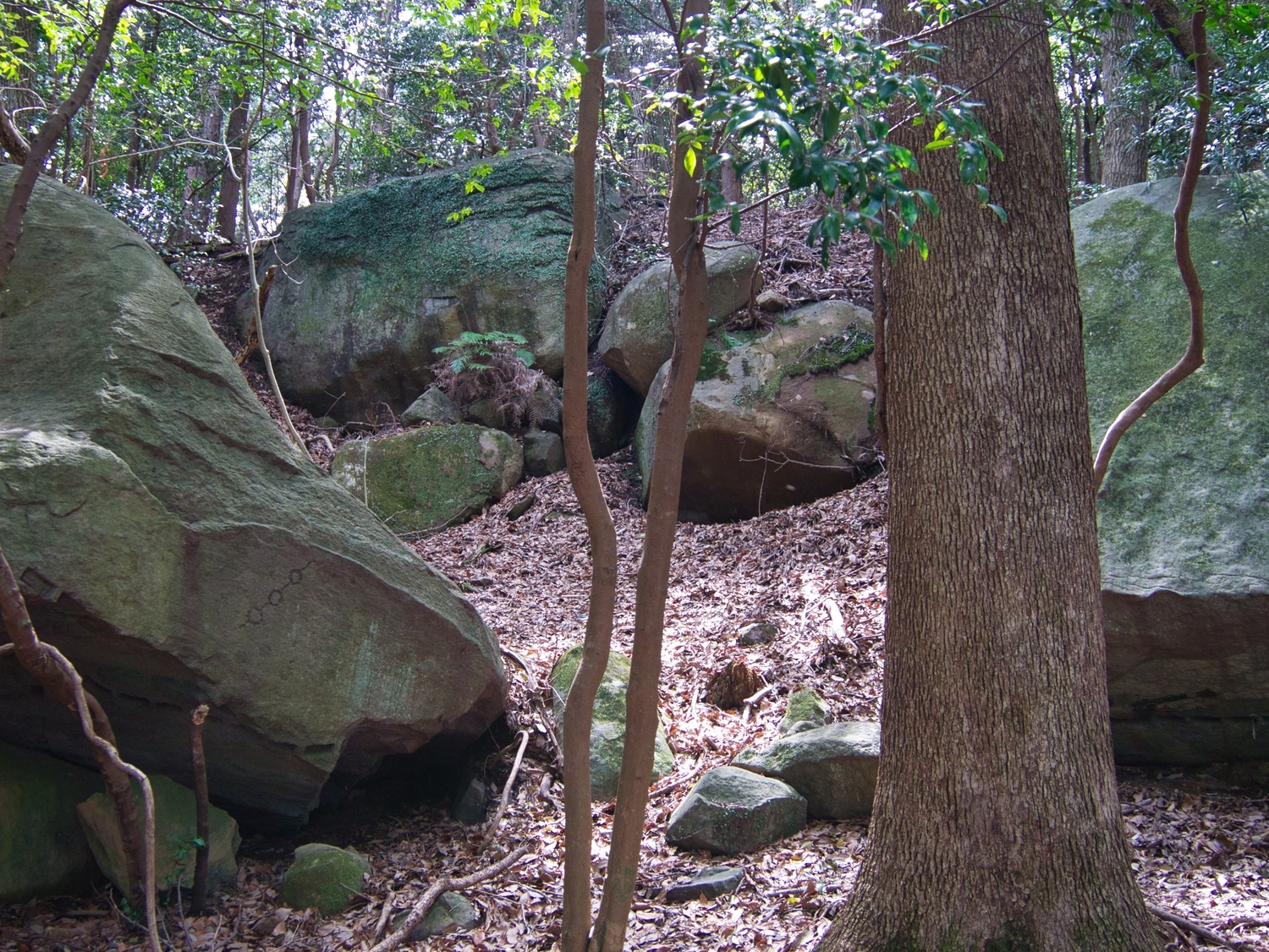 Heda quarry17.jpg