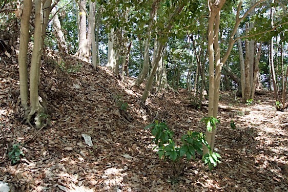 File:Jofukuji13.jpg