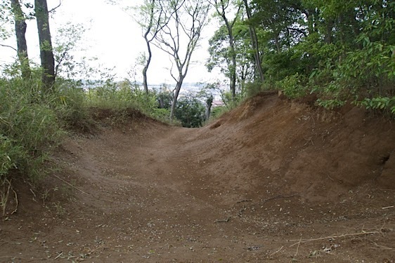 File:Kogane10.jpg