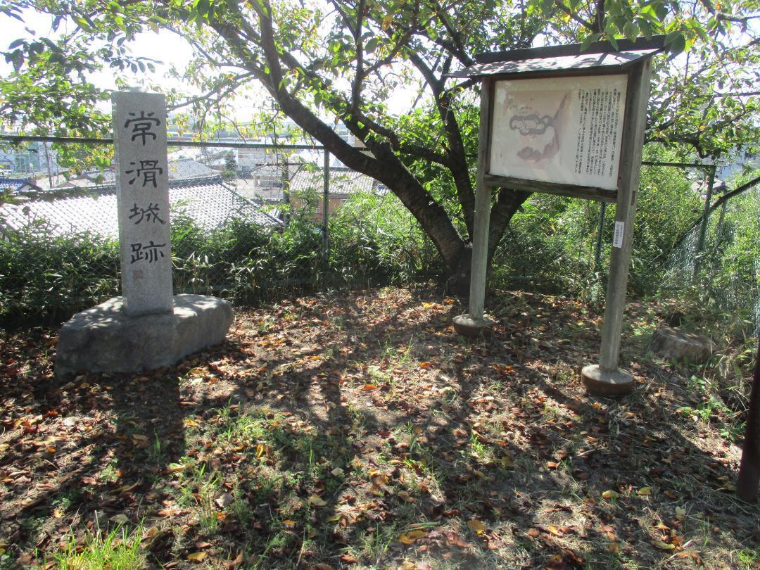 Tokonamejou (1).jpg